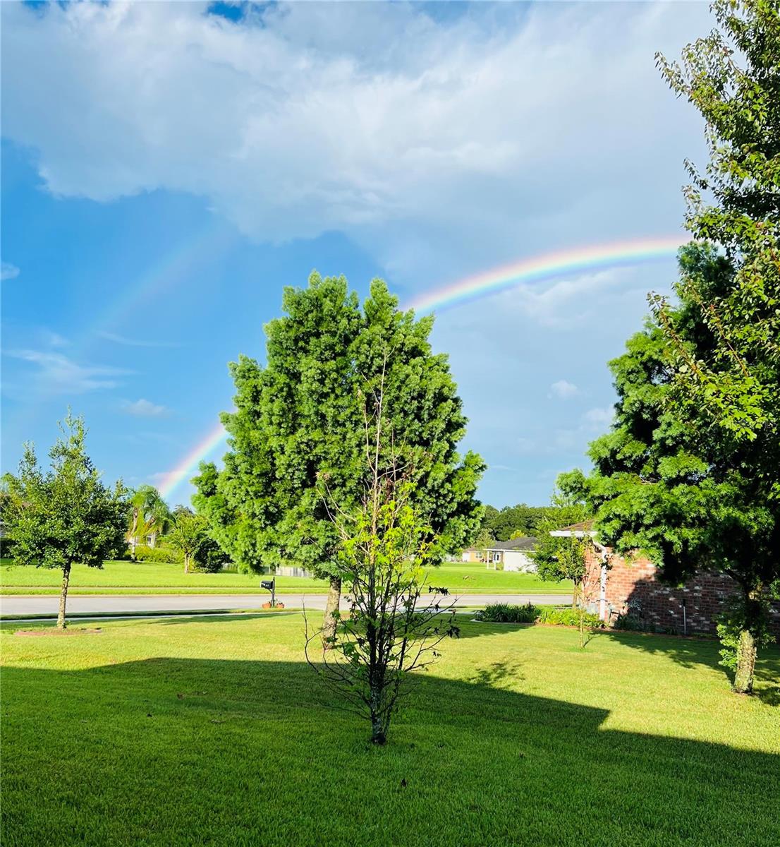 Image 5 of 48 For 611 Curly Fern Lane