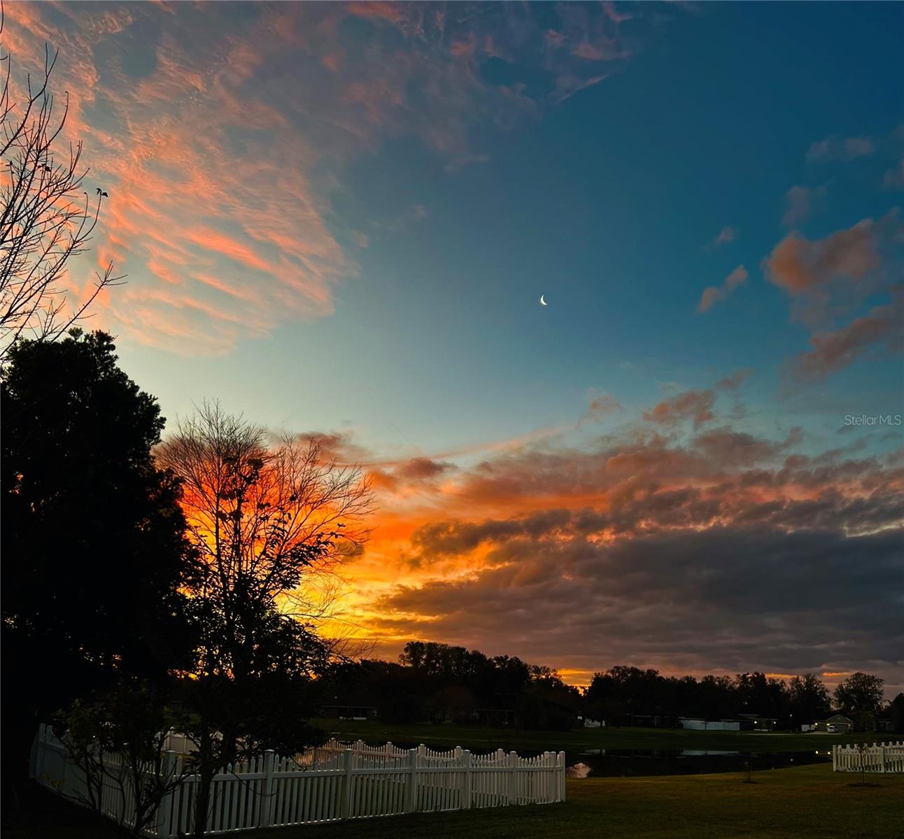 Image 6 of 48 For 611 Curly Fern Lane