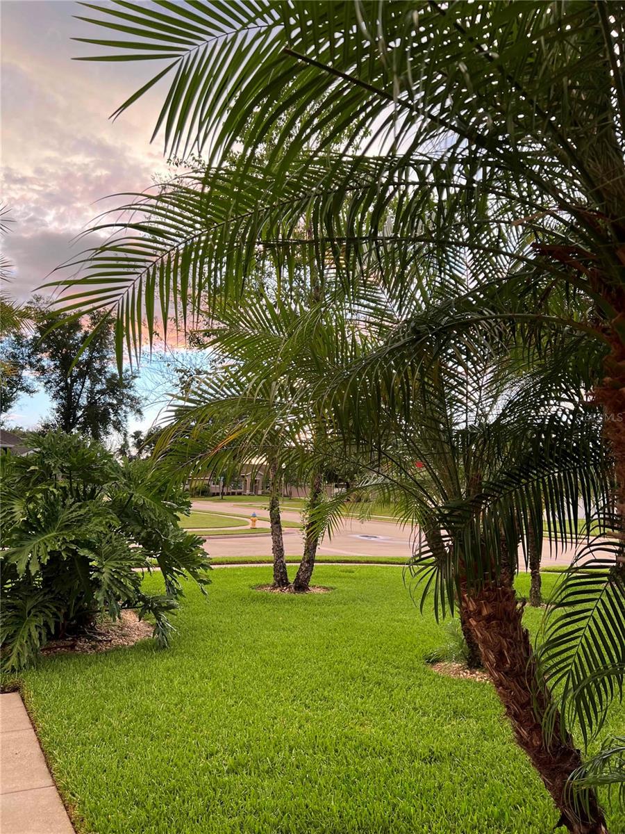 Image 8 of 48 For 611 Curly Fern Lane