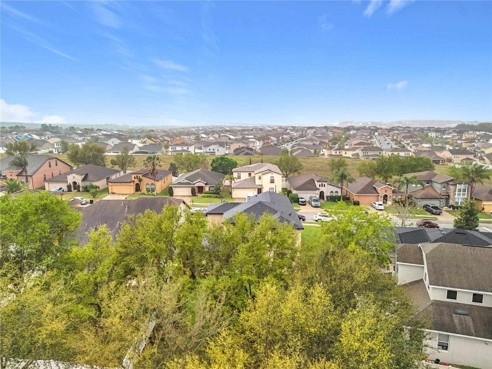 Image 77 of 86 For 319 Arbor Pointe Avenue