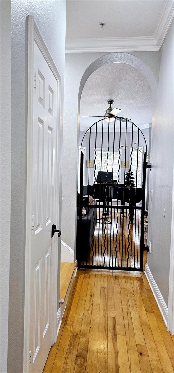 Image 26 of 82 For 1147 Delaney Avenue 2