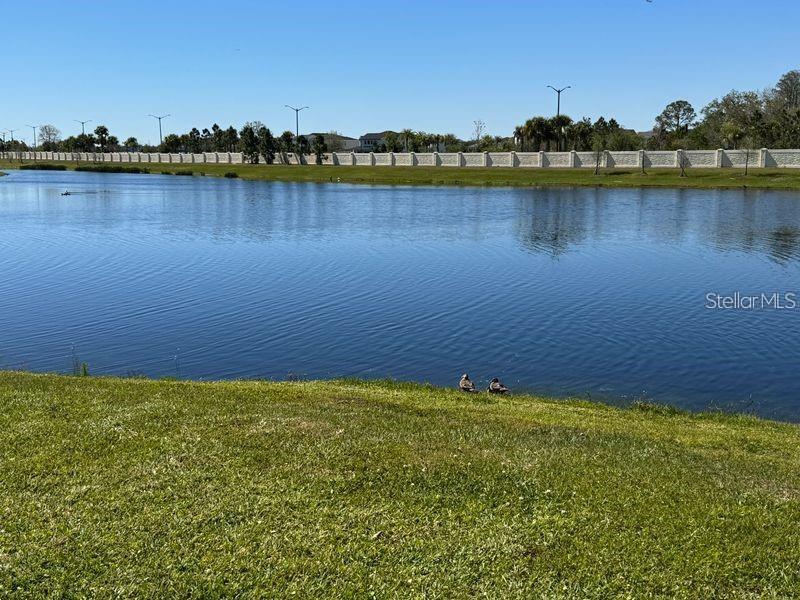 Image 28 of 32 For 14374 Orchid Island Drive