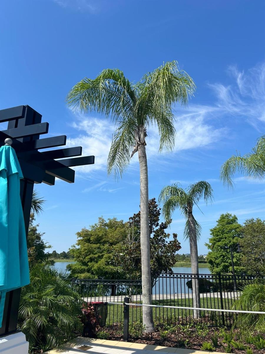 Image 15 of 46 For 4804 Cayview Avenue 20412