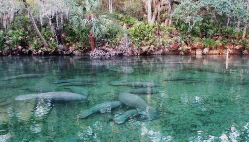 Image 10 of 18 For 124 Coronado Road B