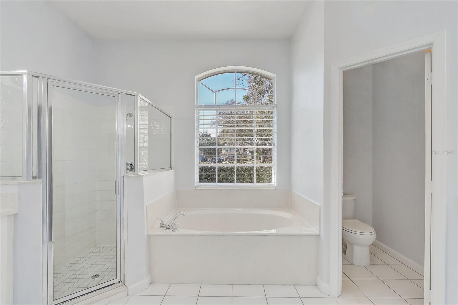 Image 32 of 54 For 359 Randon Terrace