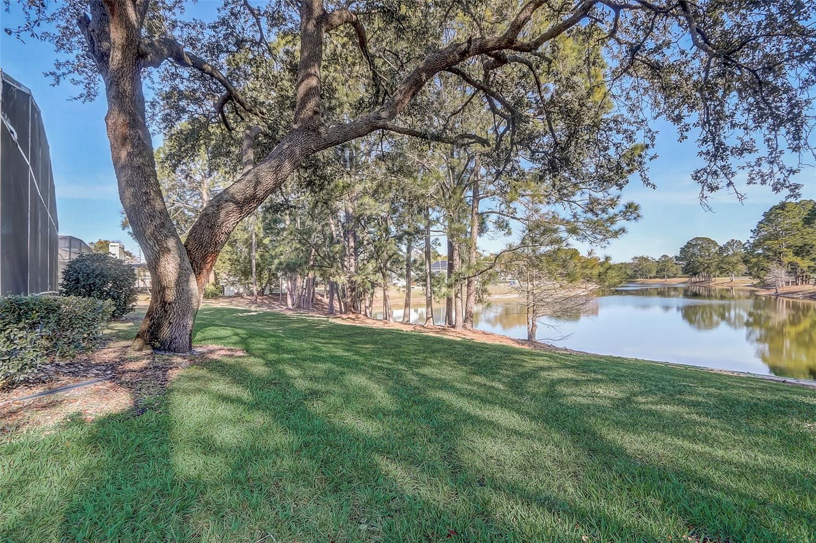 Image 44 of 54 For 359 Randon Terrace