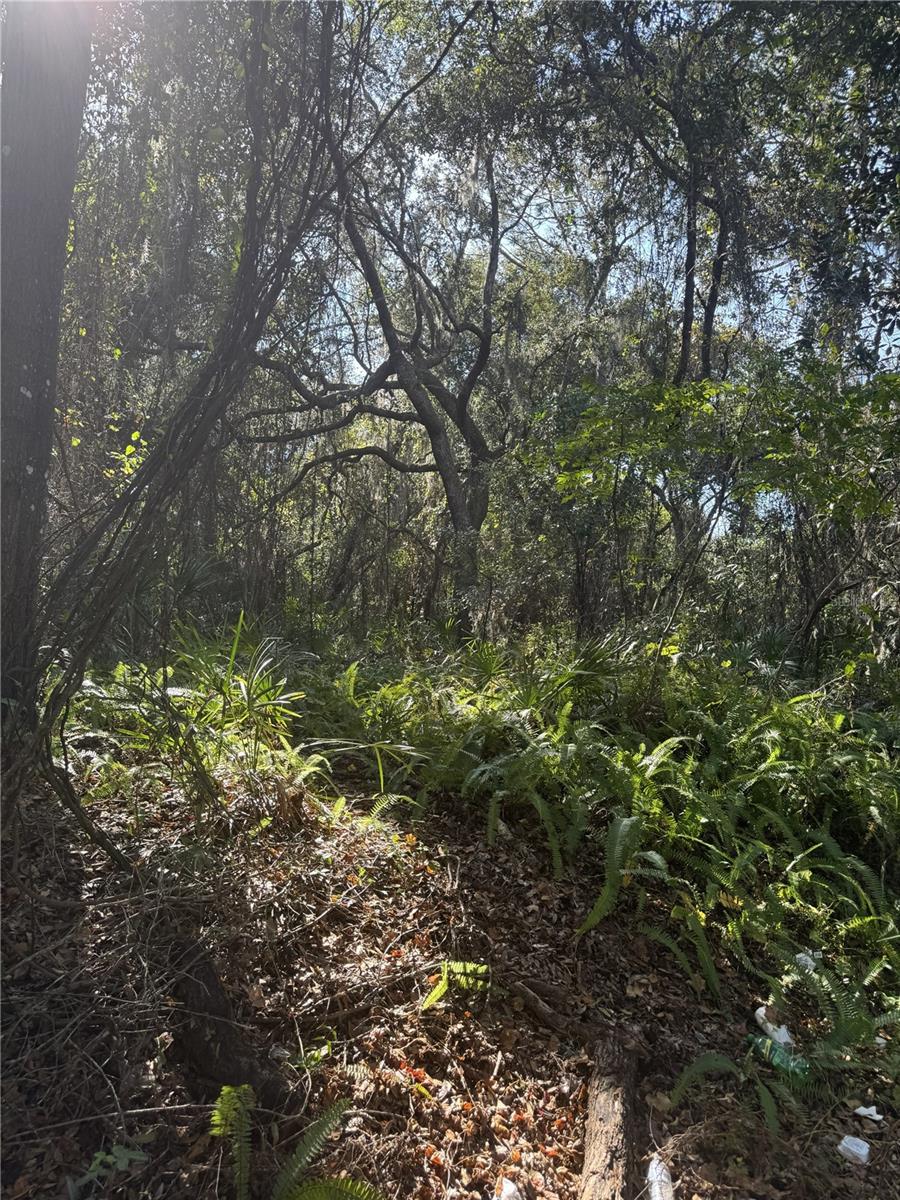 Image 3 of 5 For E Franklin Street