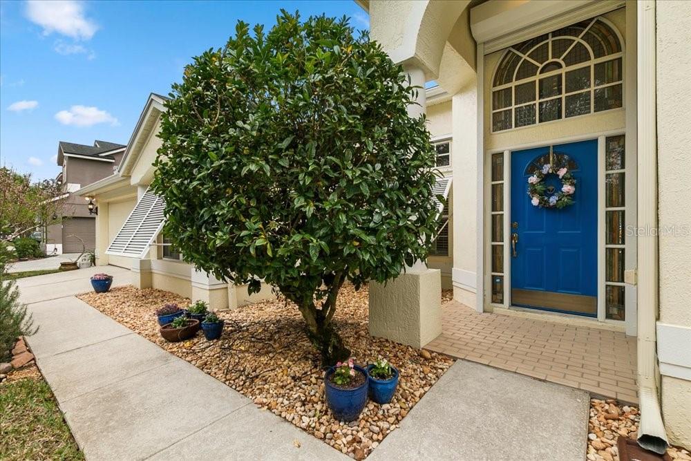 Image 3 of 76 For 817 Kingsbridge Drive