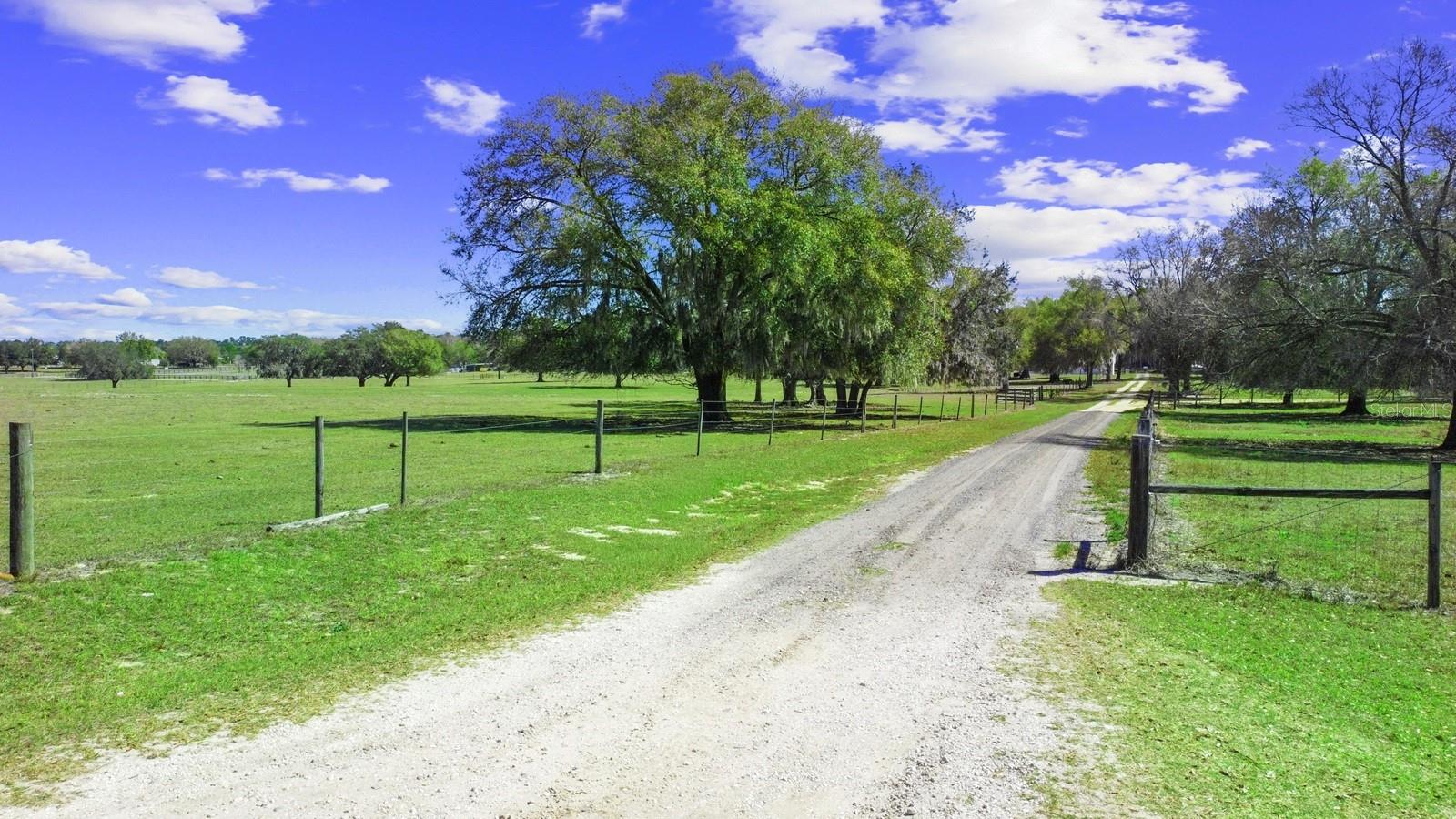 Image 11 of 49 For Bay Lake Road