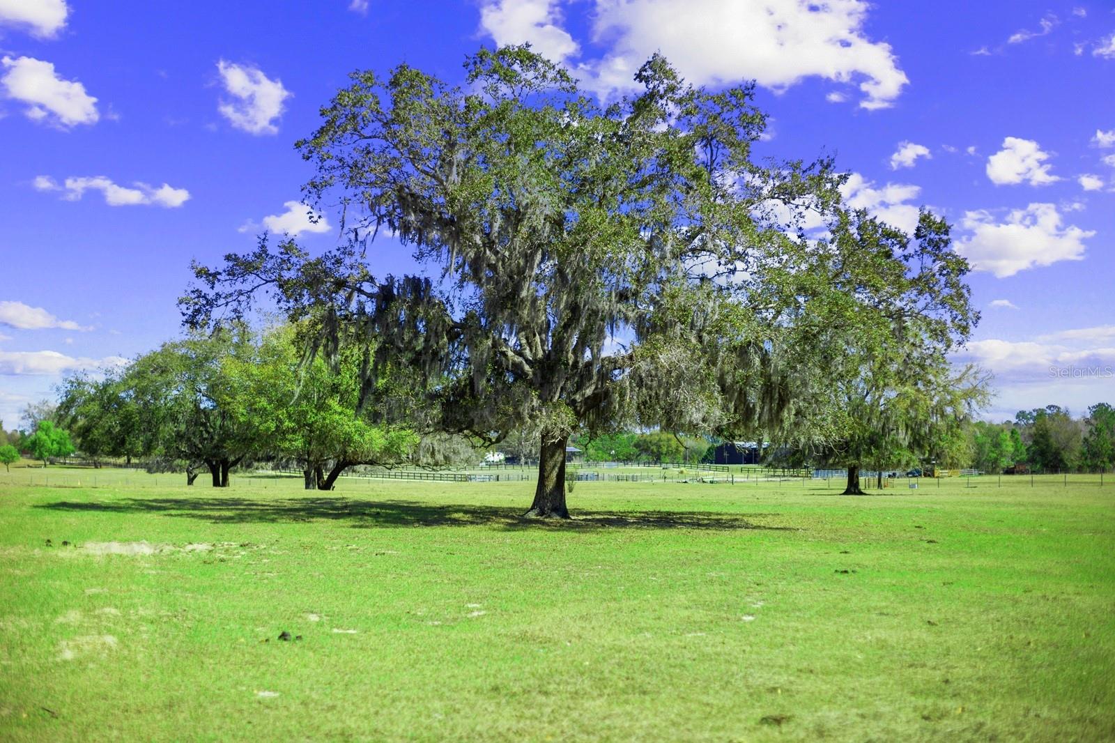 Image 19 of 49 For Bay Lake Road