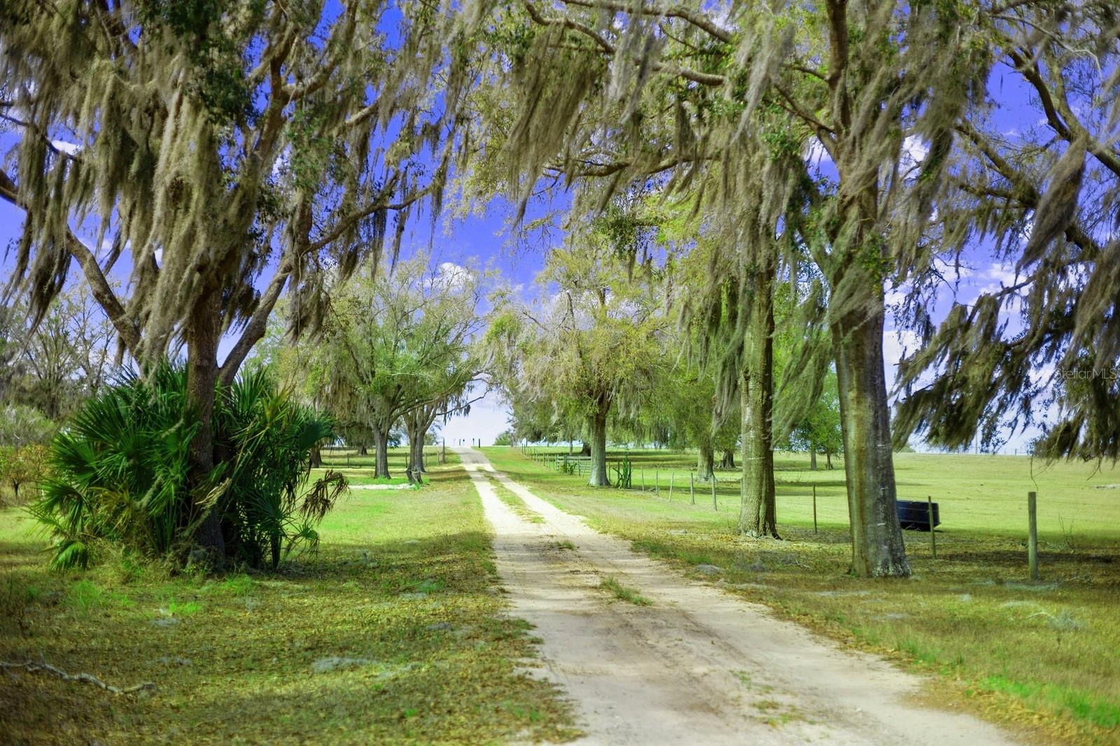 Image 2 of 49 For Bay Lake Road