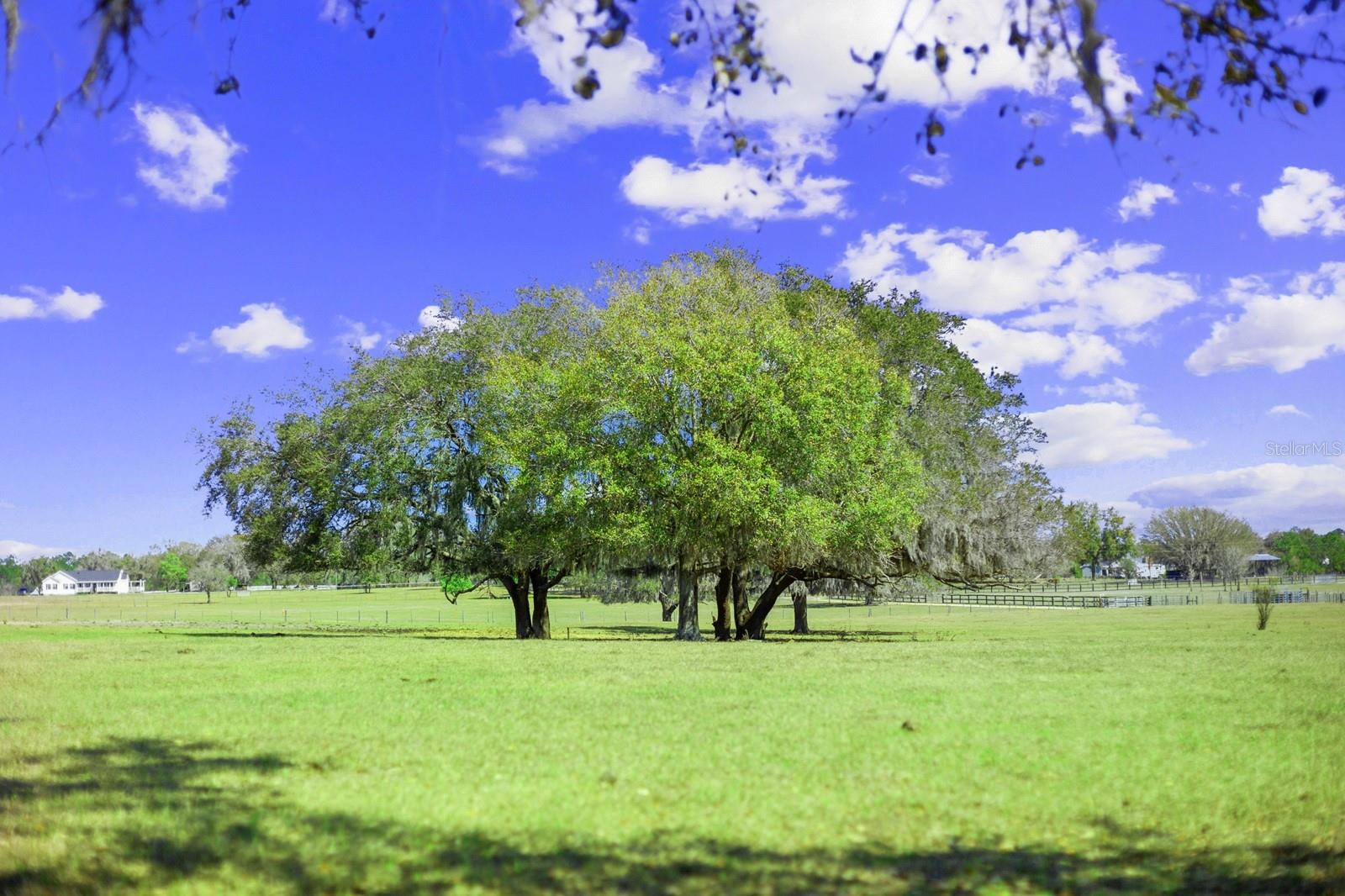 Image 20 of 49 For Bay Lake Road