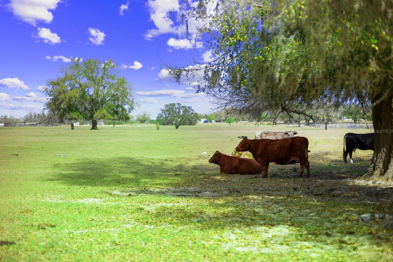 Image 6 of 49 For Bay Lake Road