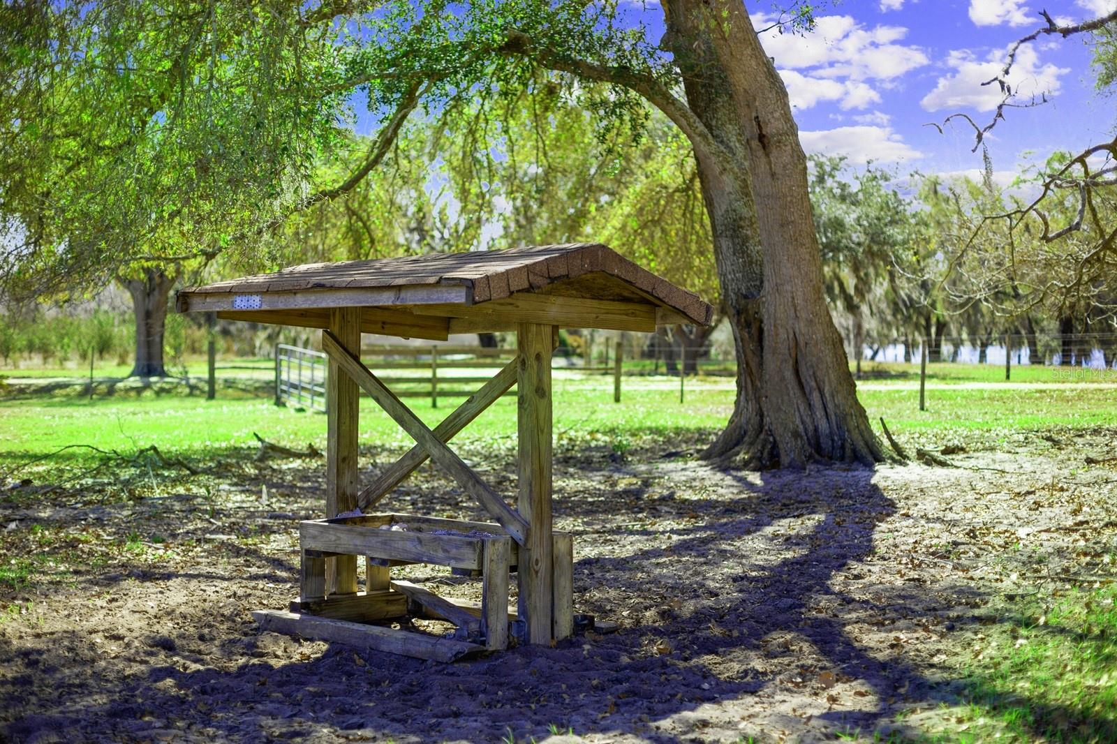 Image 7 of 49 For Bay Lake Road