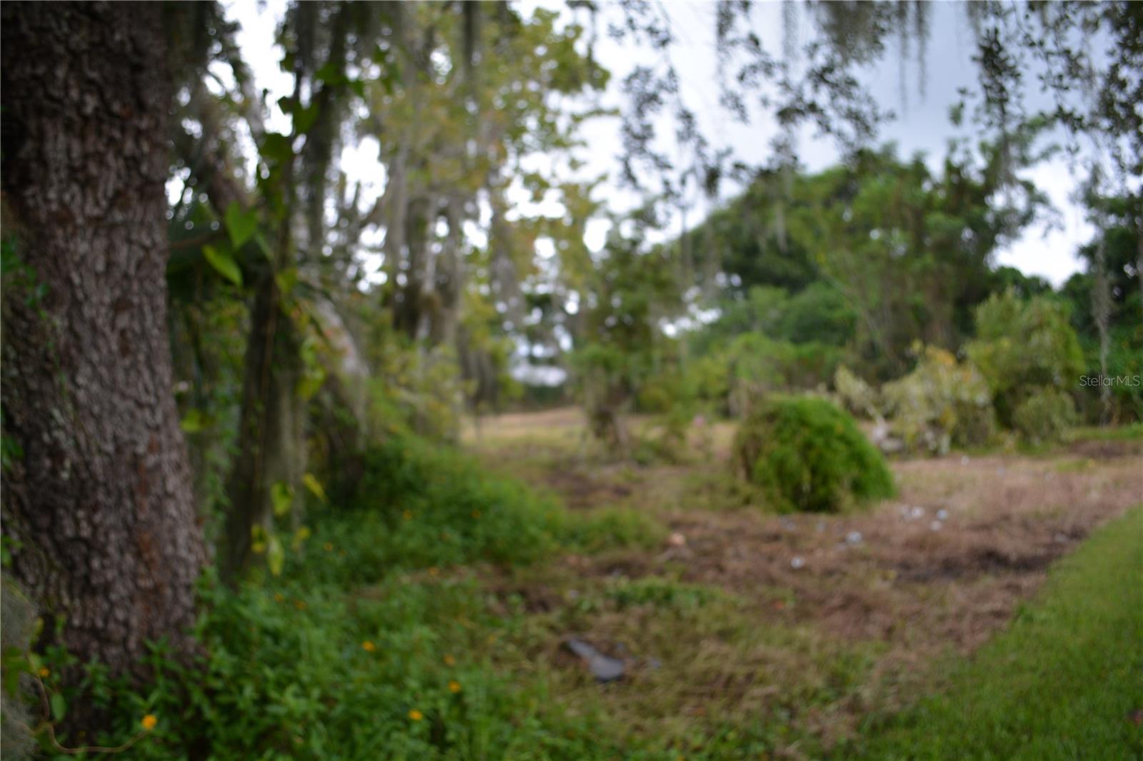 Details for 0 Se 3rd Street Street, INTERLACHEN, FL 32148