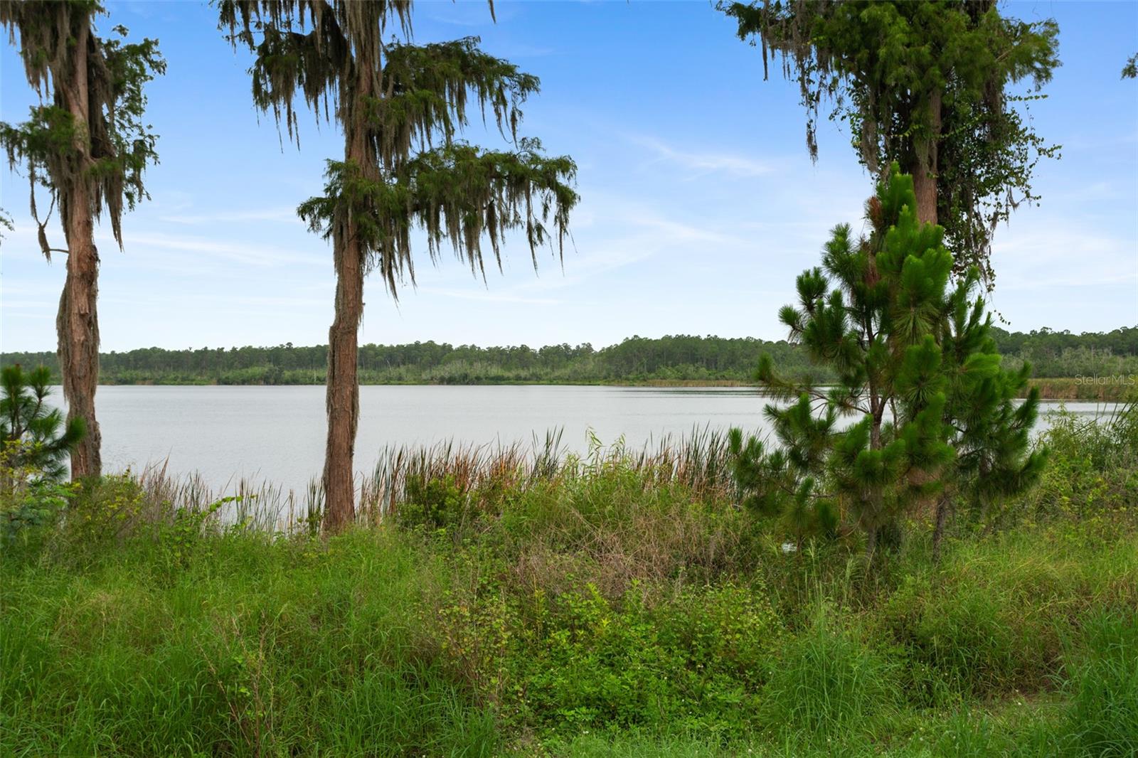 Image 50 of 50 For 12121 Silverlake Park Drive