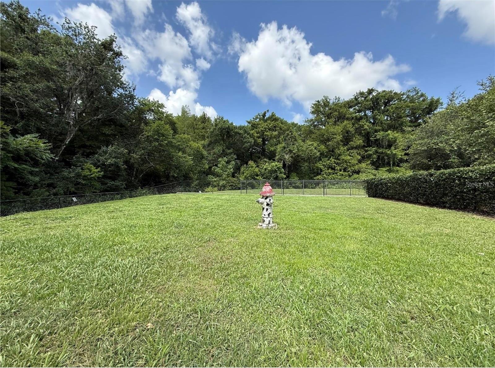 Image 31 of 40 For 1015 Lychee Court