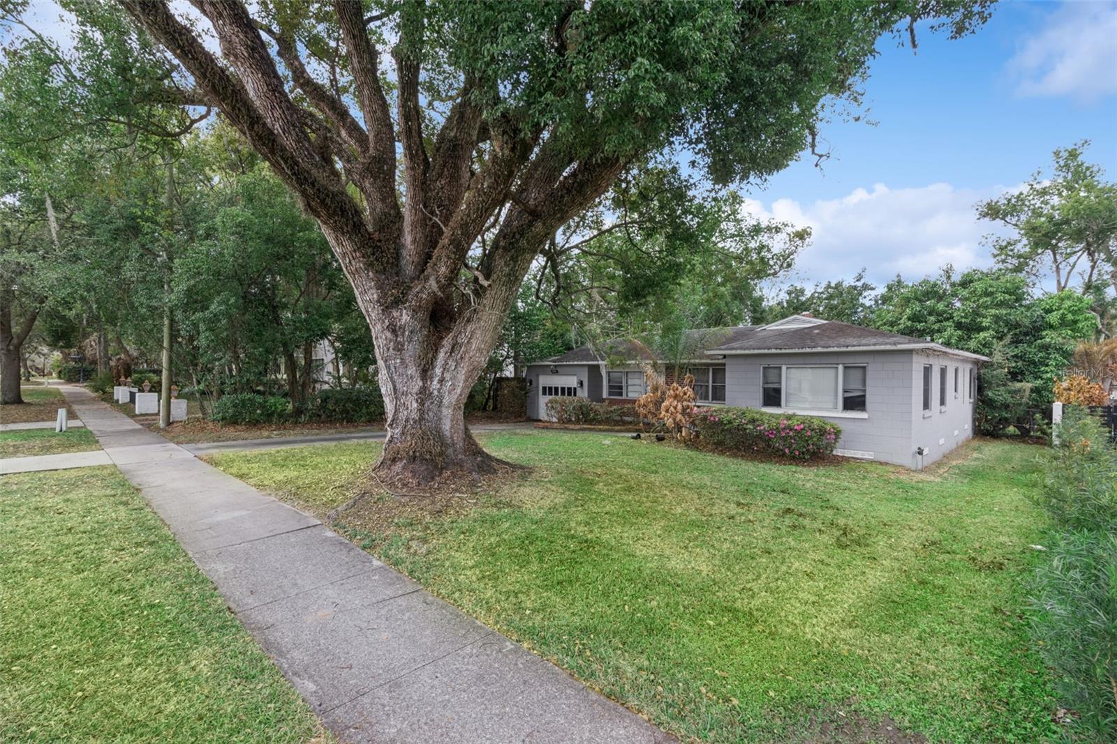 Details for 325 Phelps Avenue, WINTER PARK, FL 32789