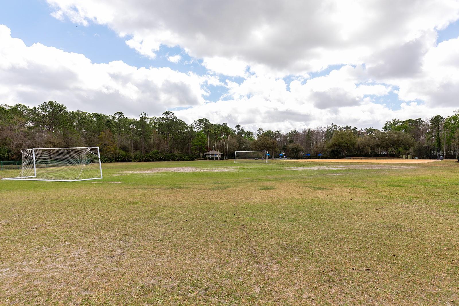 Image 37 of 37 For 14909 Yorkshire Run Drive