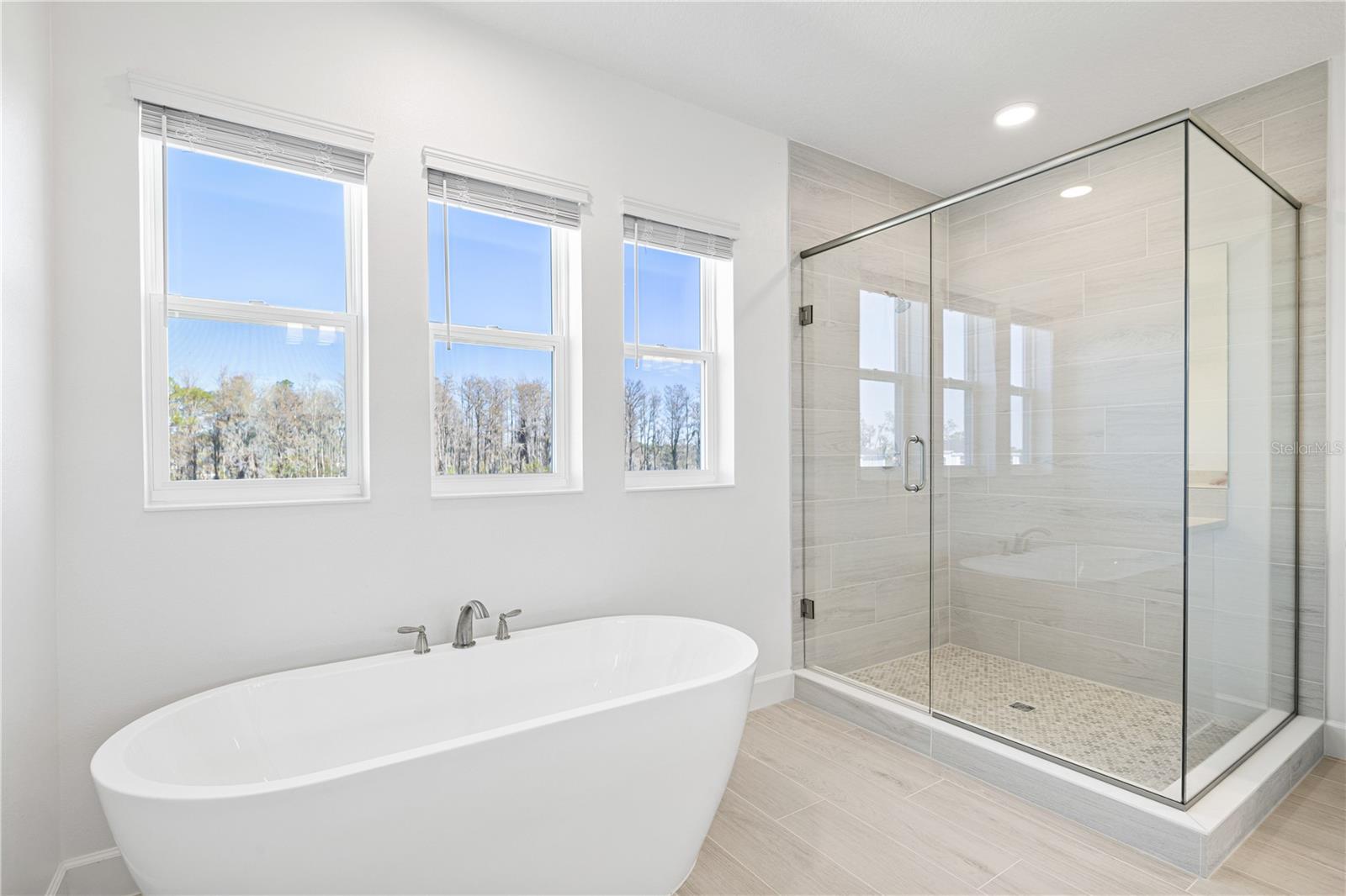 Image 61 of 77 For 16788 Muskgrass Drive