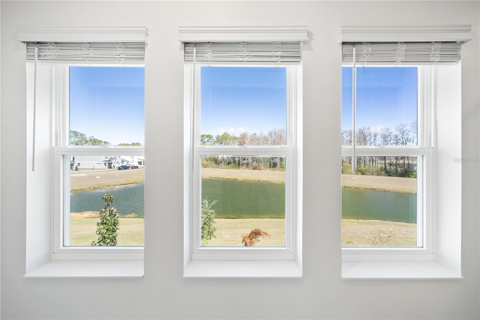 Image 62 of 77 For 16788 Muskgrass Drive