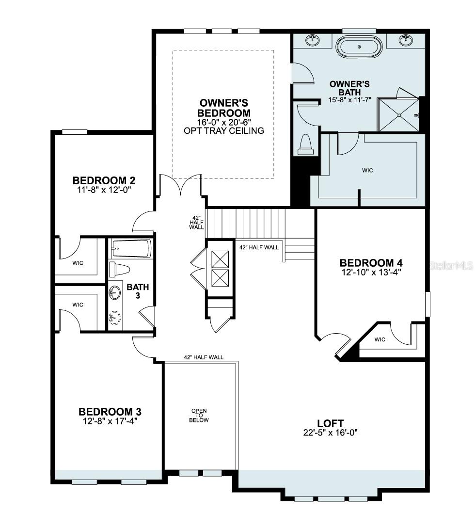 Image 3 of 4 For 854 Creeping Fig Street