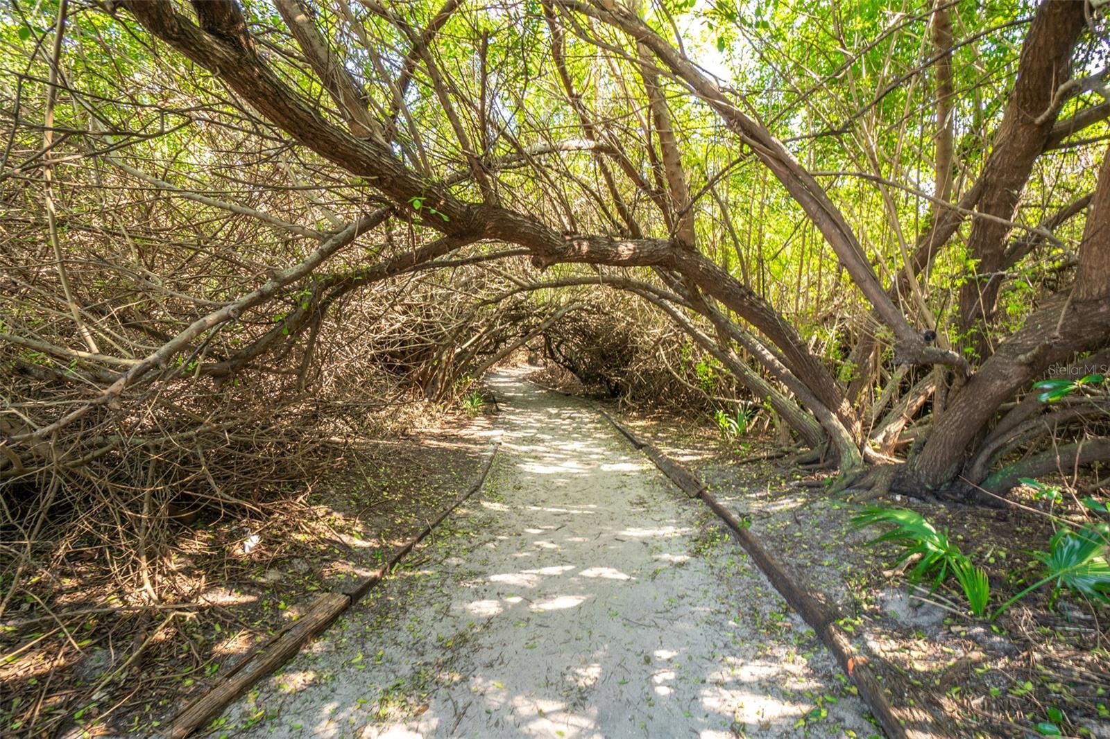 Image 23 of 35 For 8713 Bay Court