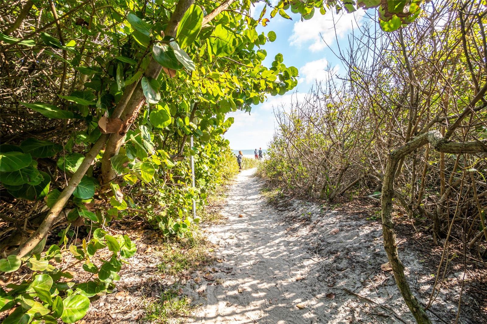 Image 24 of 35 For 8713 Bay Court