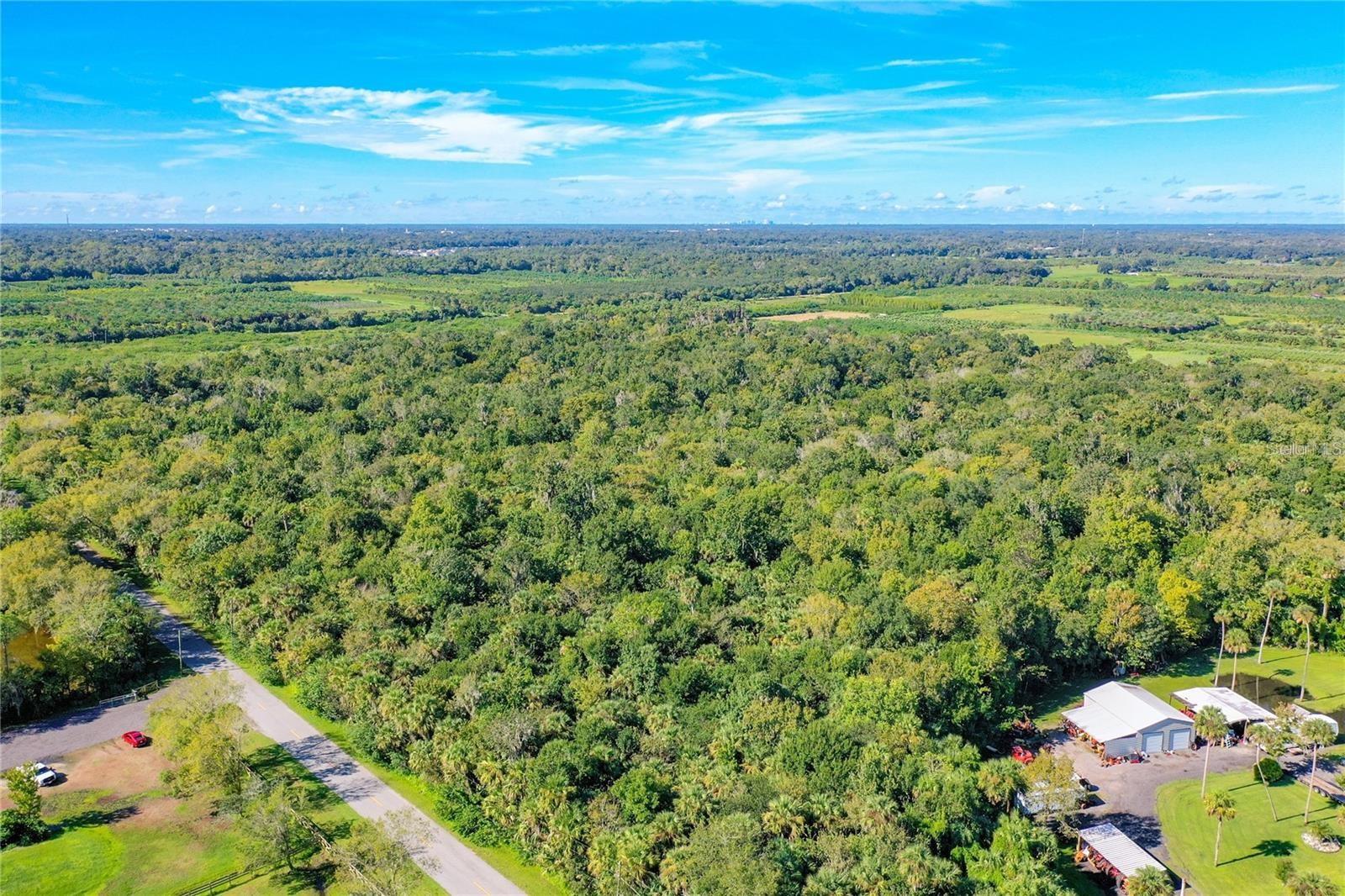 Image 10 of 16 For  Elm Street 