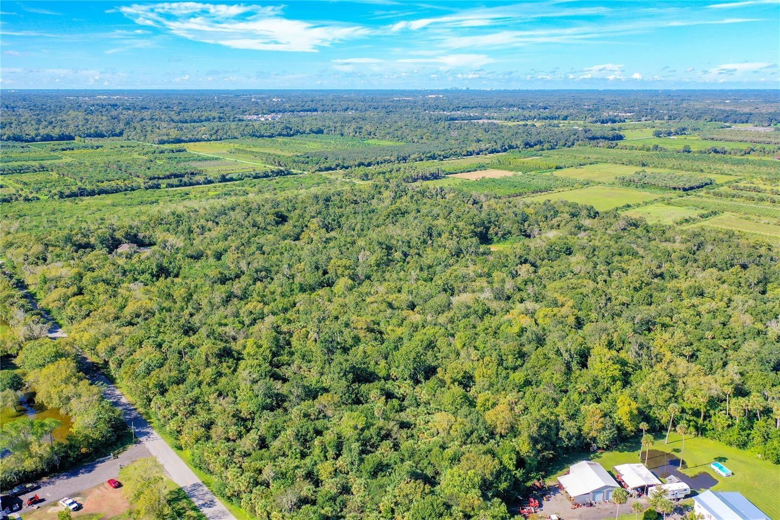 Image 11 of 16 For  Elm Street 