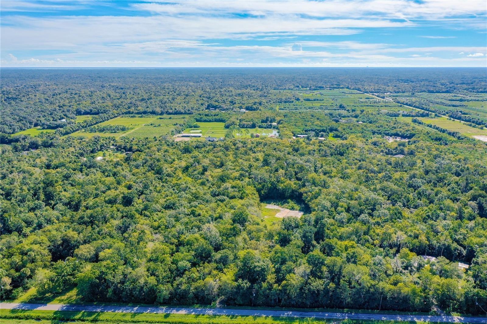 Image 15 of 16 For  Elm Street 