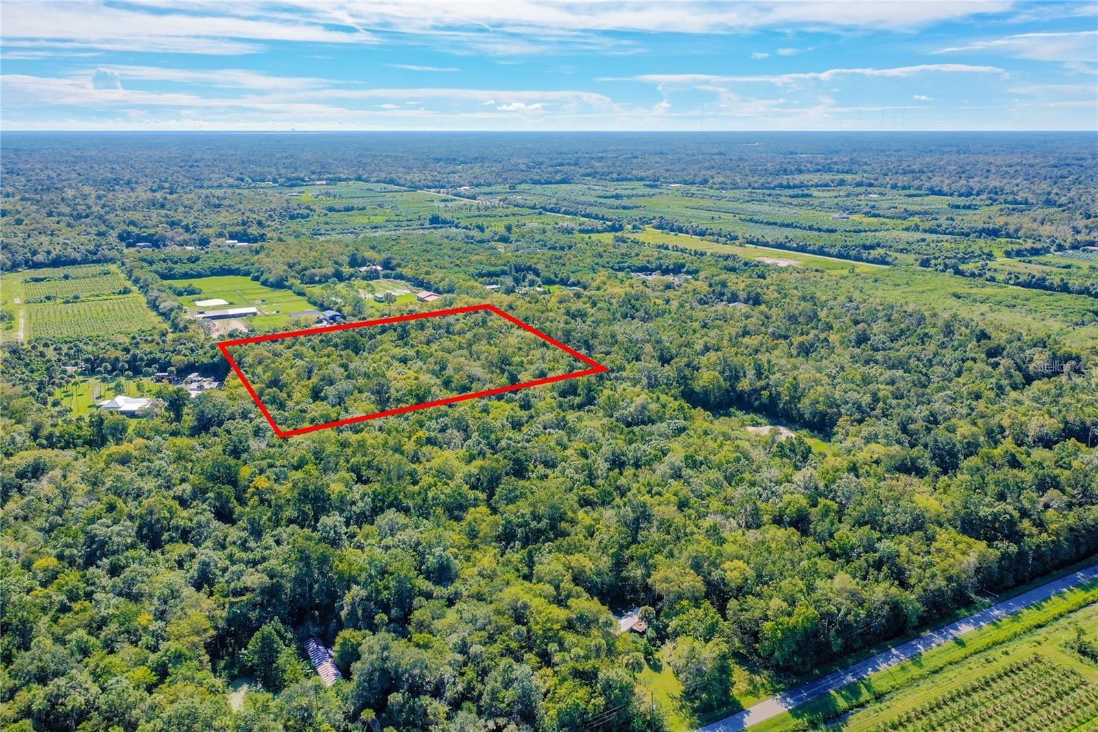 Image 7 of 16 For  Elm Street 