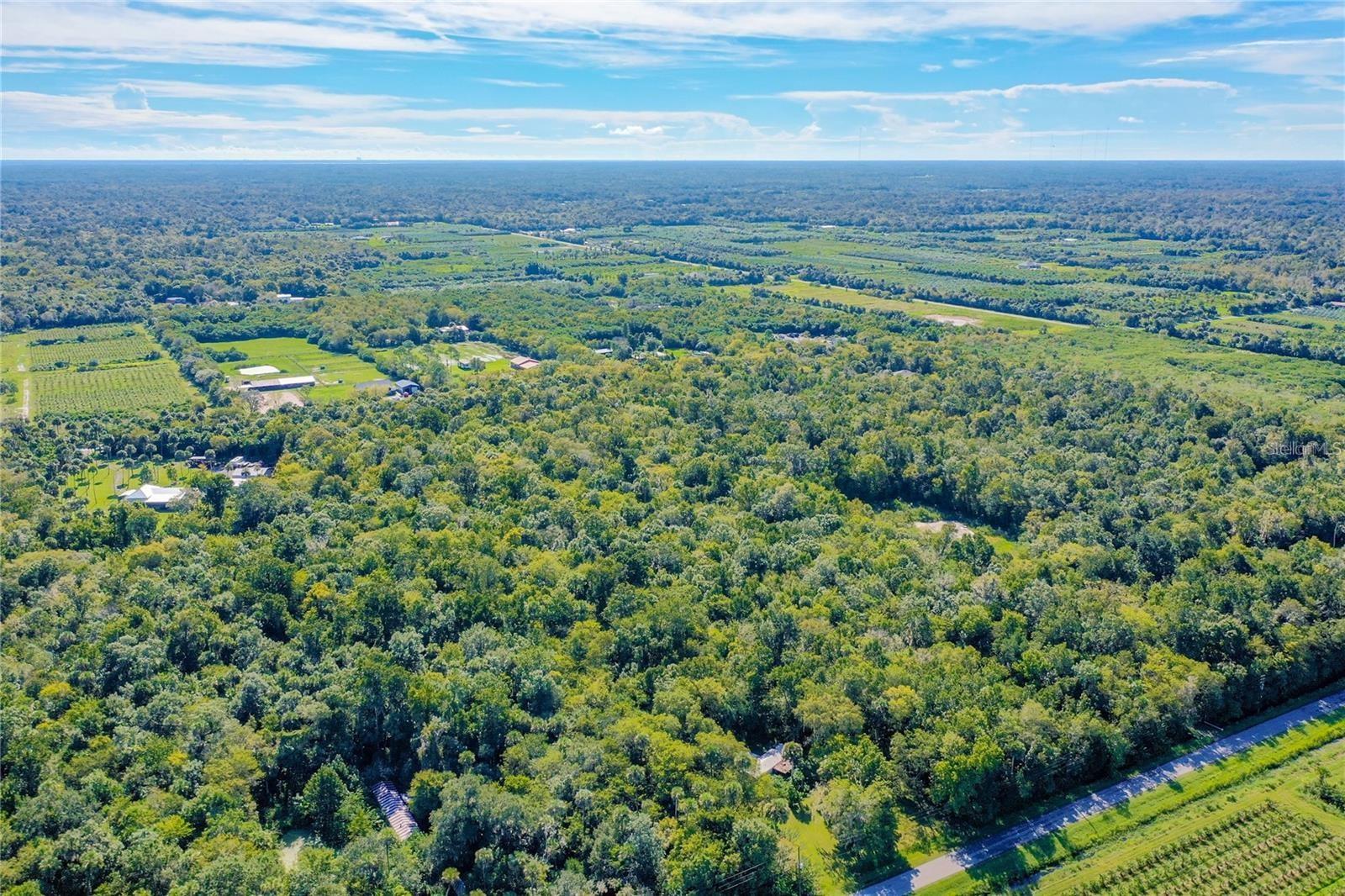 Image 8 of 16 For  Elm Street 