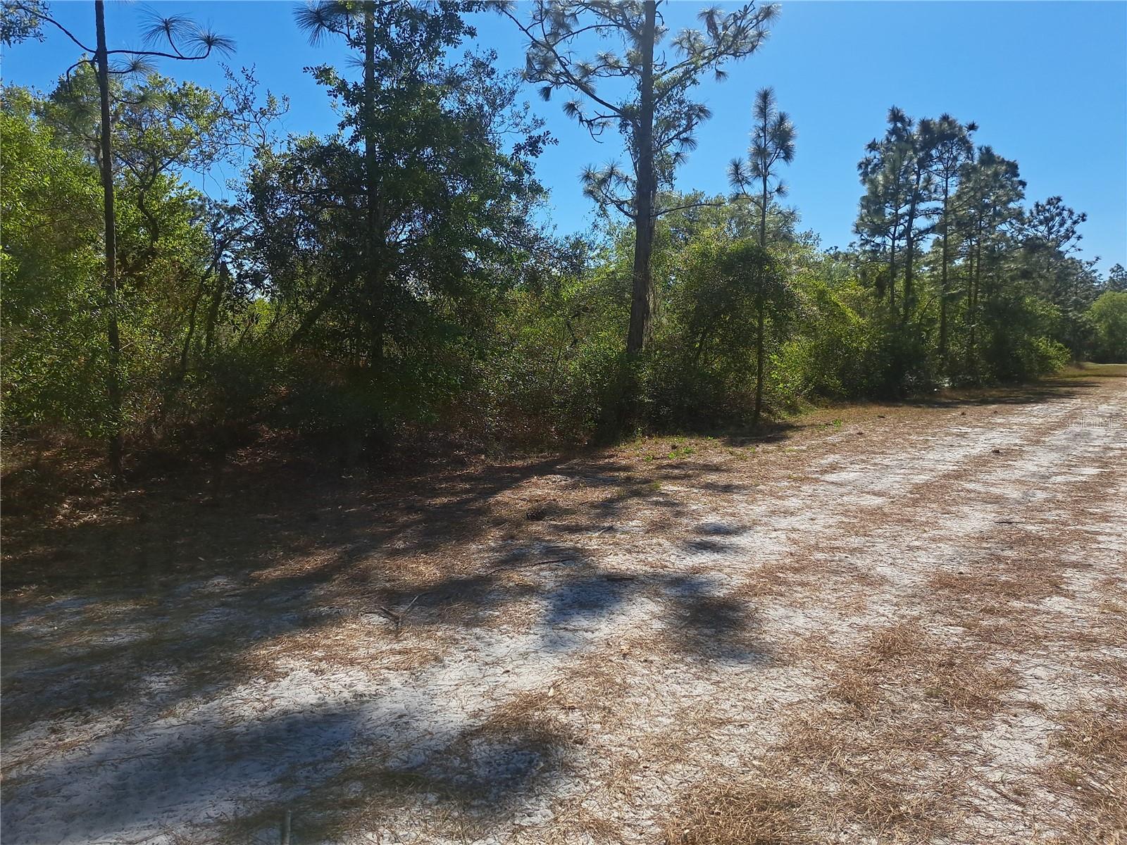 Image 18 of 18 For 20 Avocado Drive