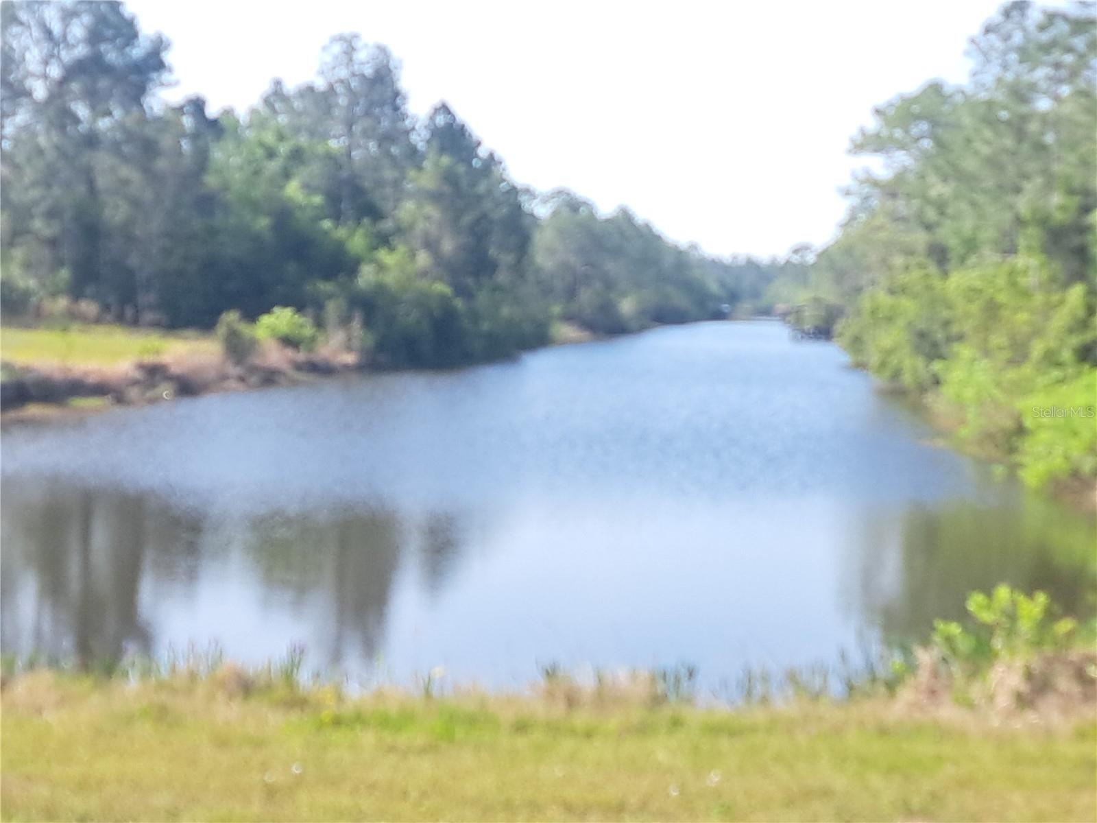 Image 6 of 18 For 20 Avocado Drive