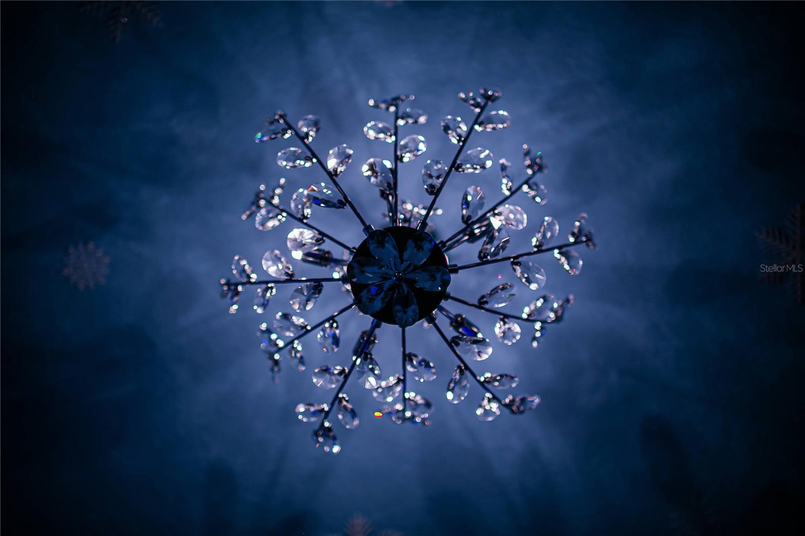 Image 54 of 98 For 7336 Oakmoss Loop