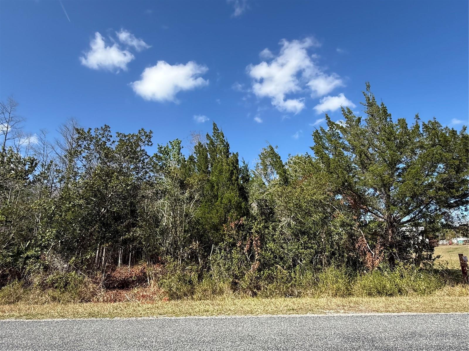 Image 4 of 5 For Jupiter Drive