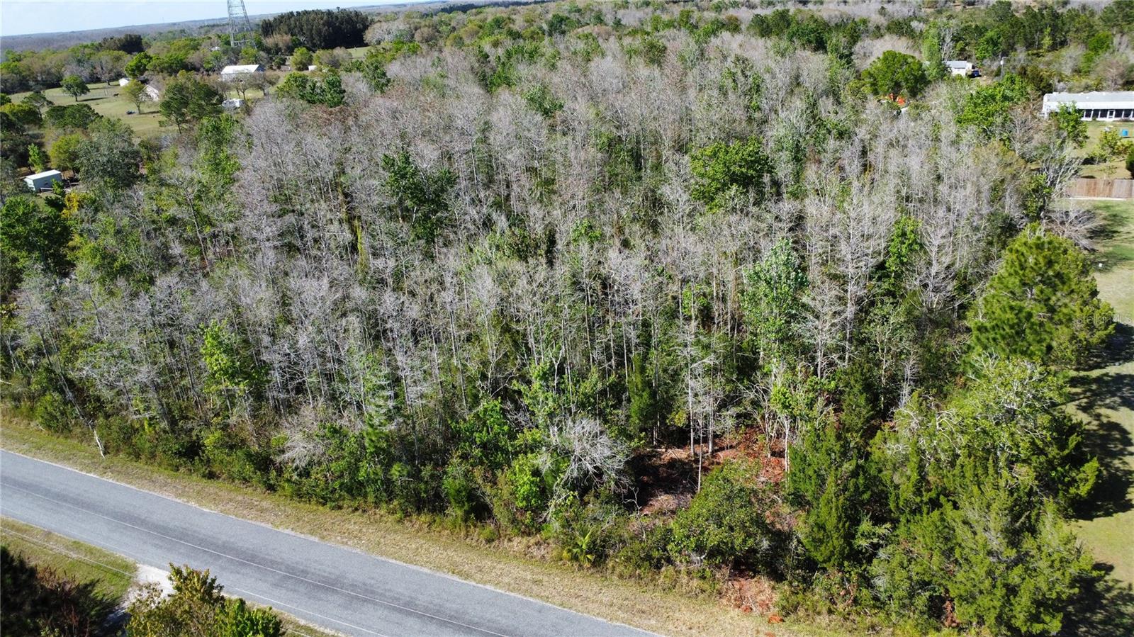 Image 5 of 5 For Jupiter Drive