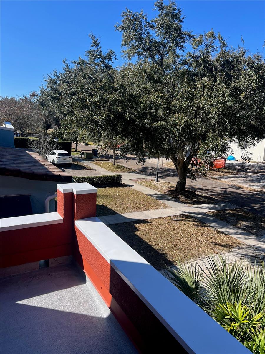 Image 53 of 69 For 318 Vitoria Avenue