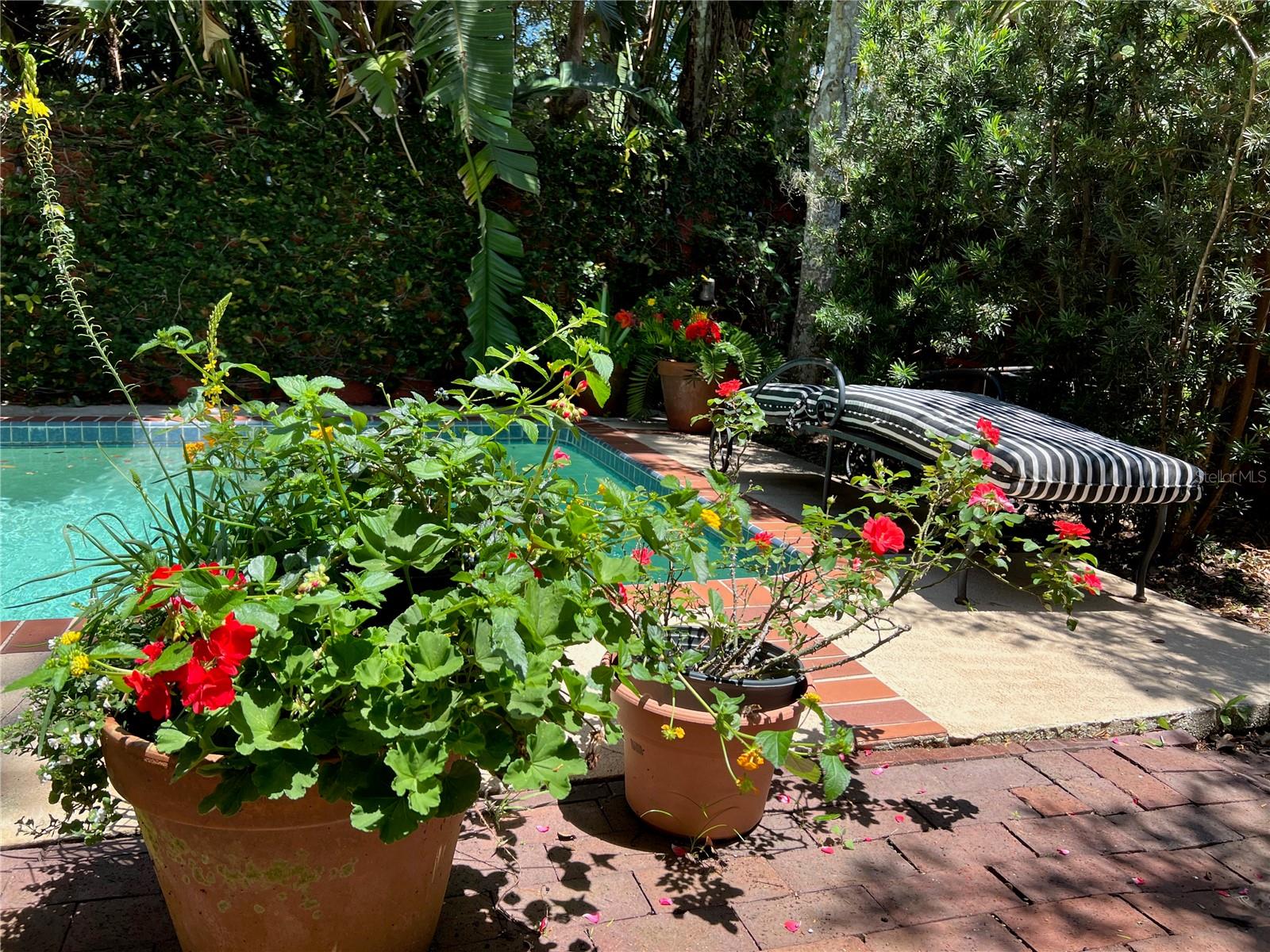 Image 9 of 69 For 318 Vitoria Avenue