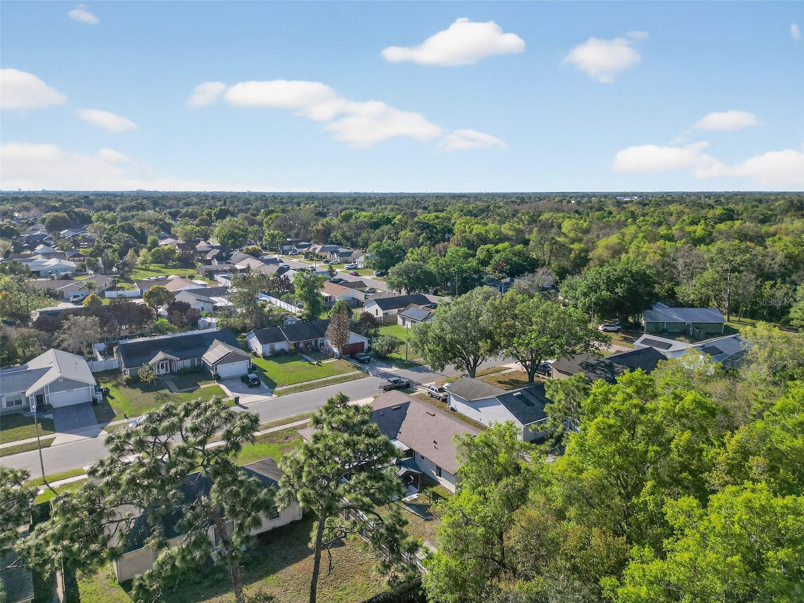 Image 44 of 46 For 10464 Bridlewood Avenue