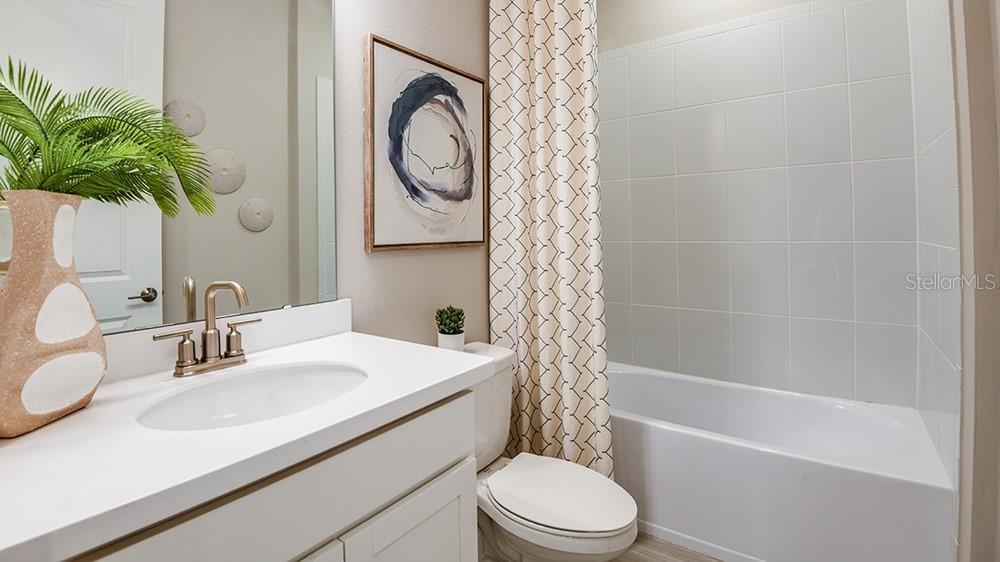 Image 18 of 29 For 11287 Silver Trumpet Loop