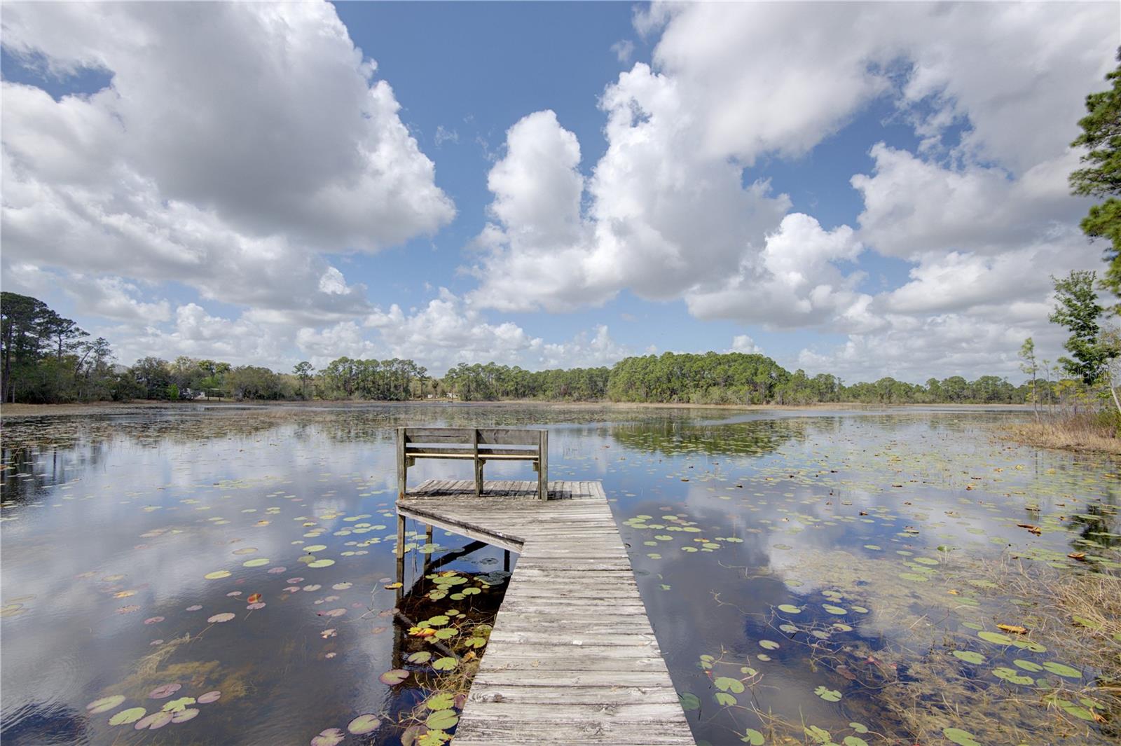 Image 45 of 54 For 290 Mitnik Drive