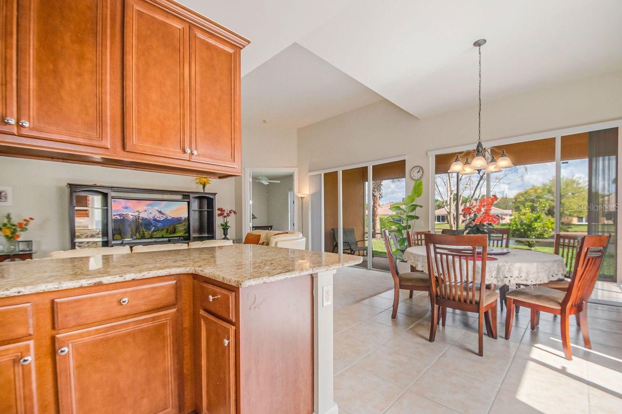 Image 14 of 54 For 12003 Lazio Lane