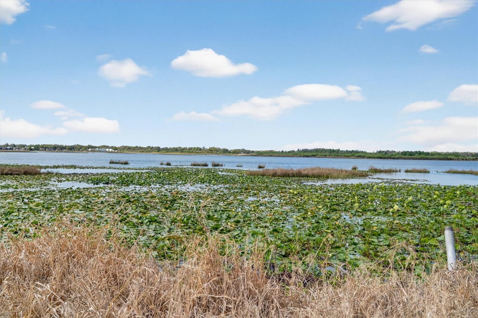 Image 2 of 33 For 429 Longfellow Boulevard