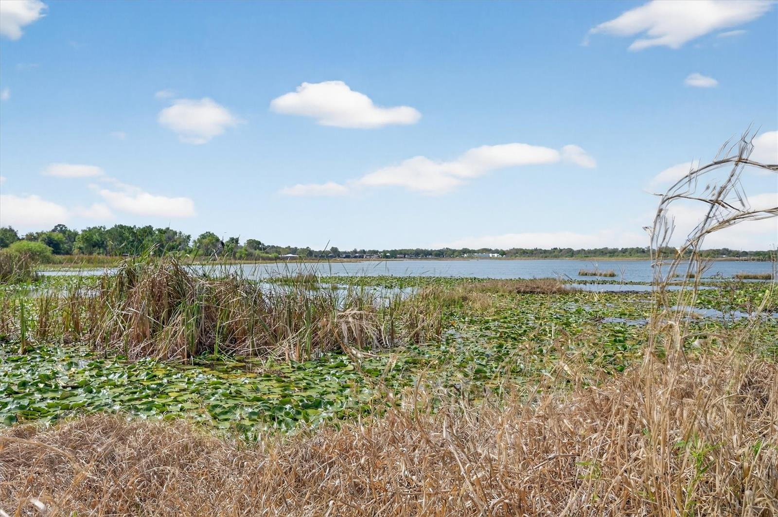 Image 8 of 33 For 429 Longfellow Boulevard