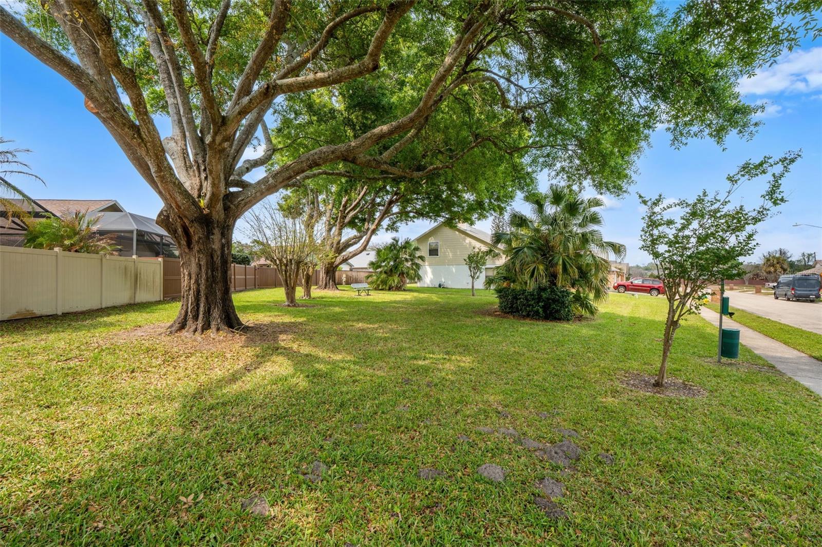 Image 32 of 36 For 3127 Ash Park Loop