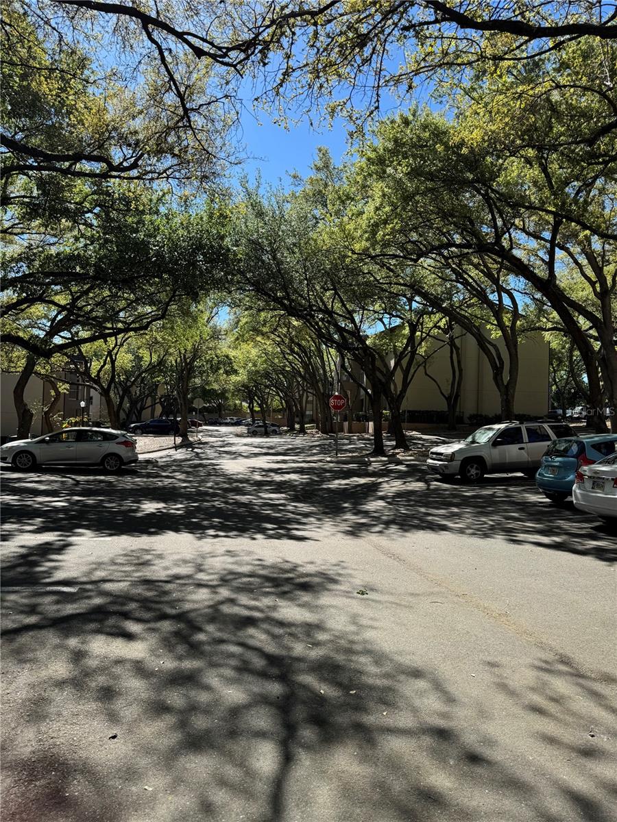 Image 24 of 32 For 642 Dory Lane 101