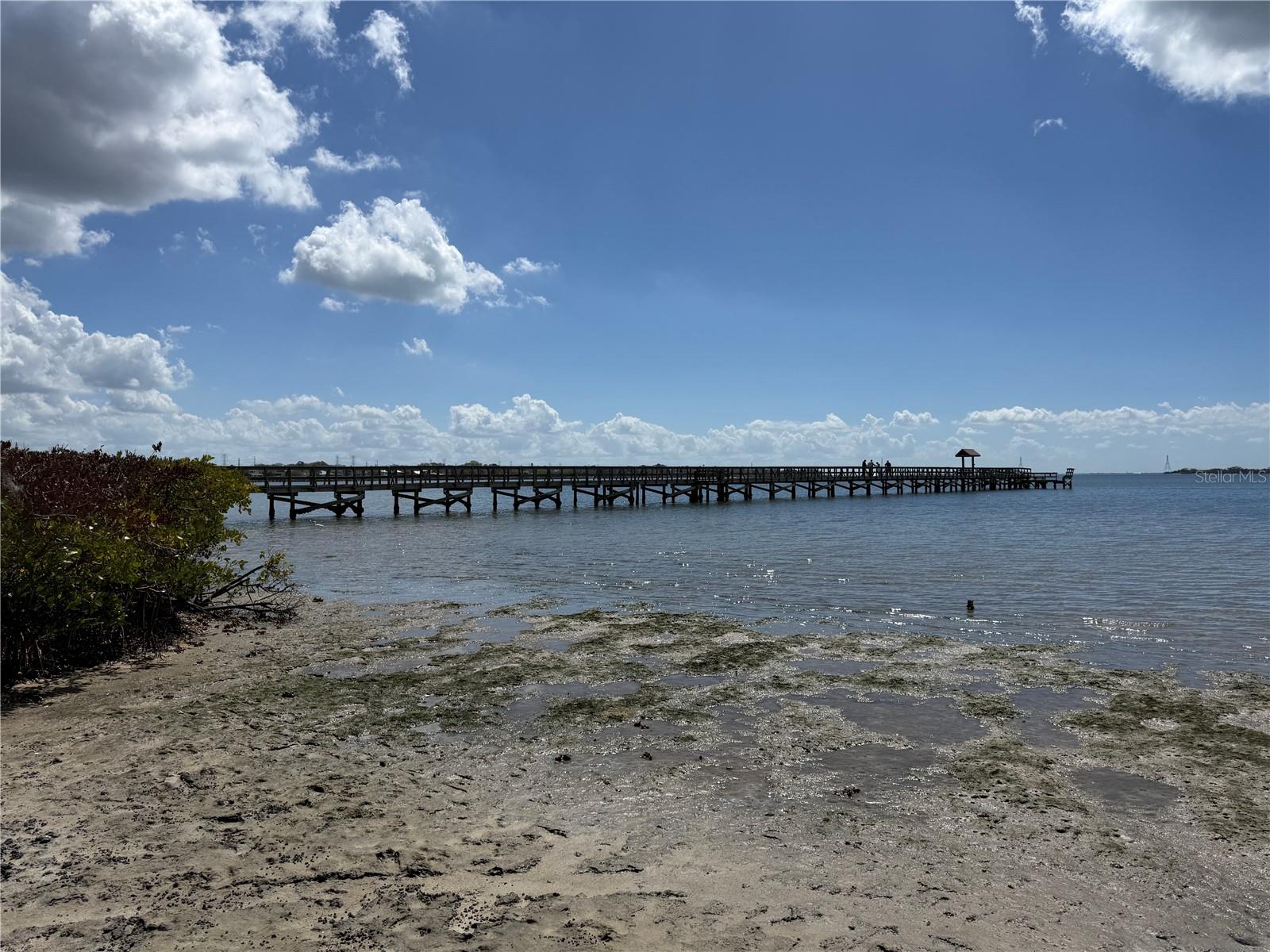 Listing photo id 31 for 204 Bengal Circle