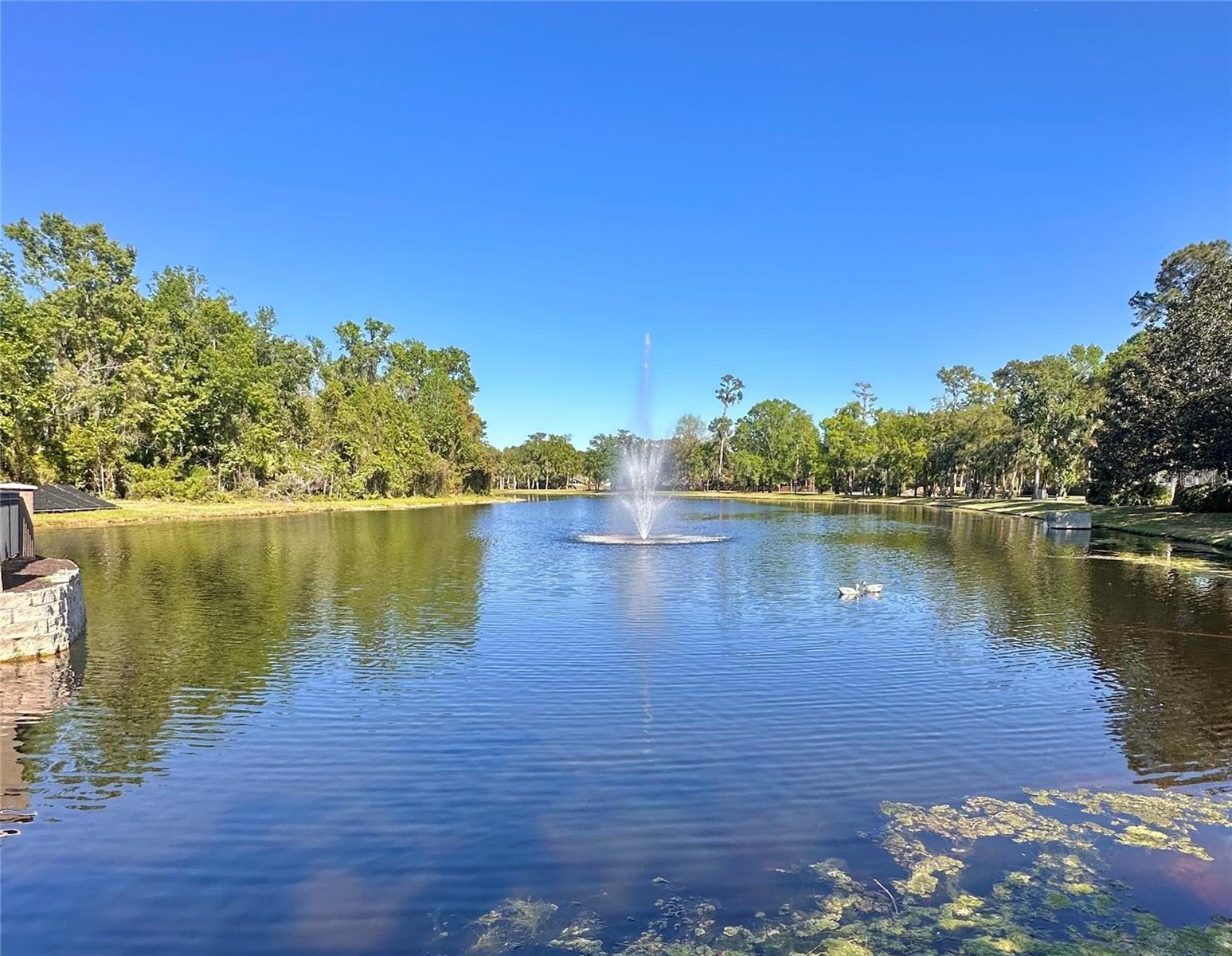 Image 34 of 44 For 413 Summit Ridge Place 115